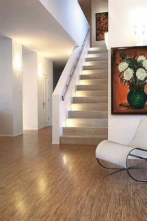Tropical_japanese_seagrass-stairs